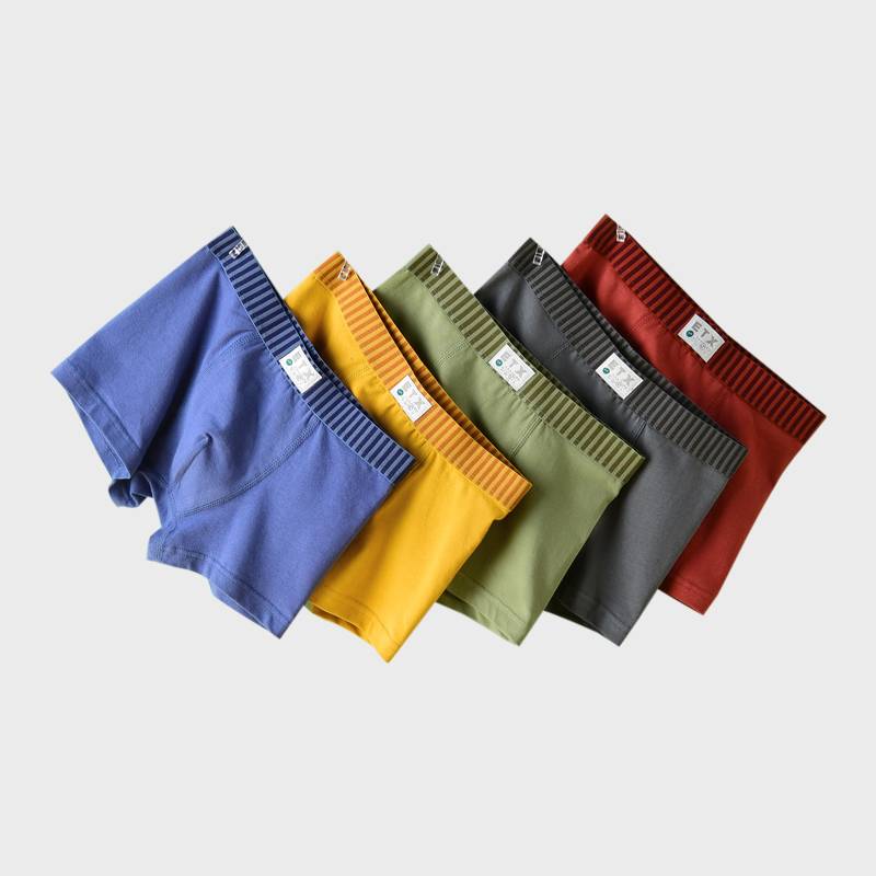 [GB108] Boys' Cotton Boxer Briefs 5-Pack Fun Strip Waistband
