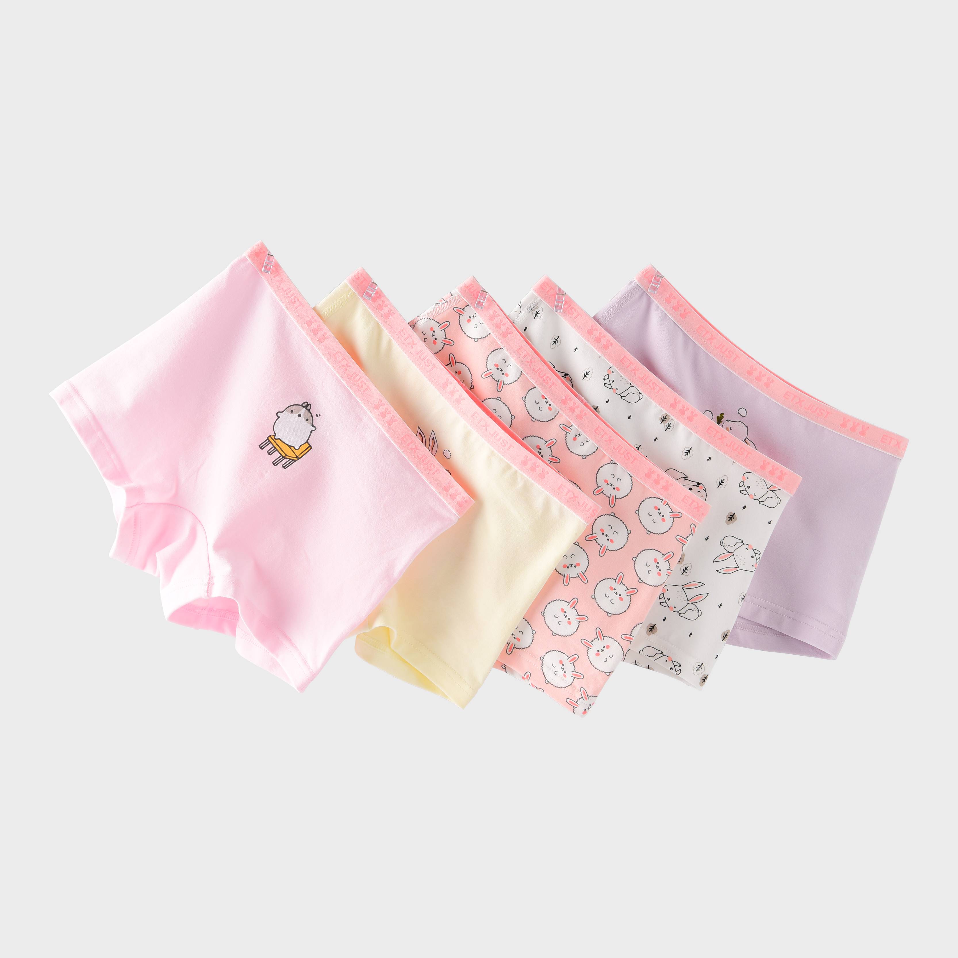 [GB079] 5-Pack Girls' High Quality Soft Cotton Underwear
